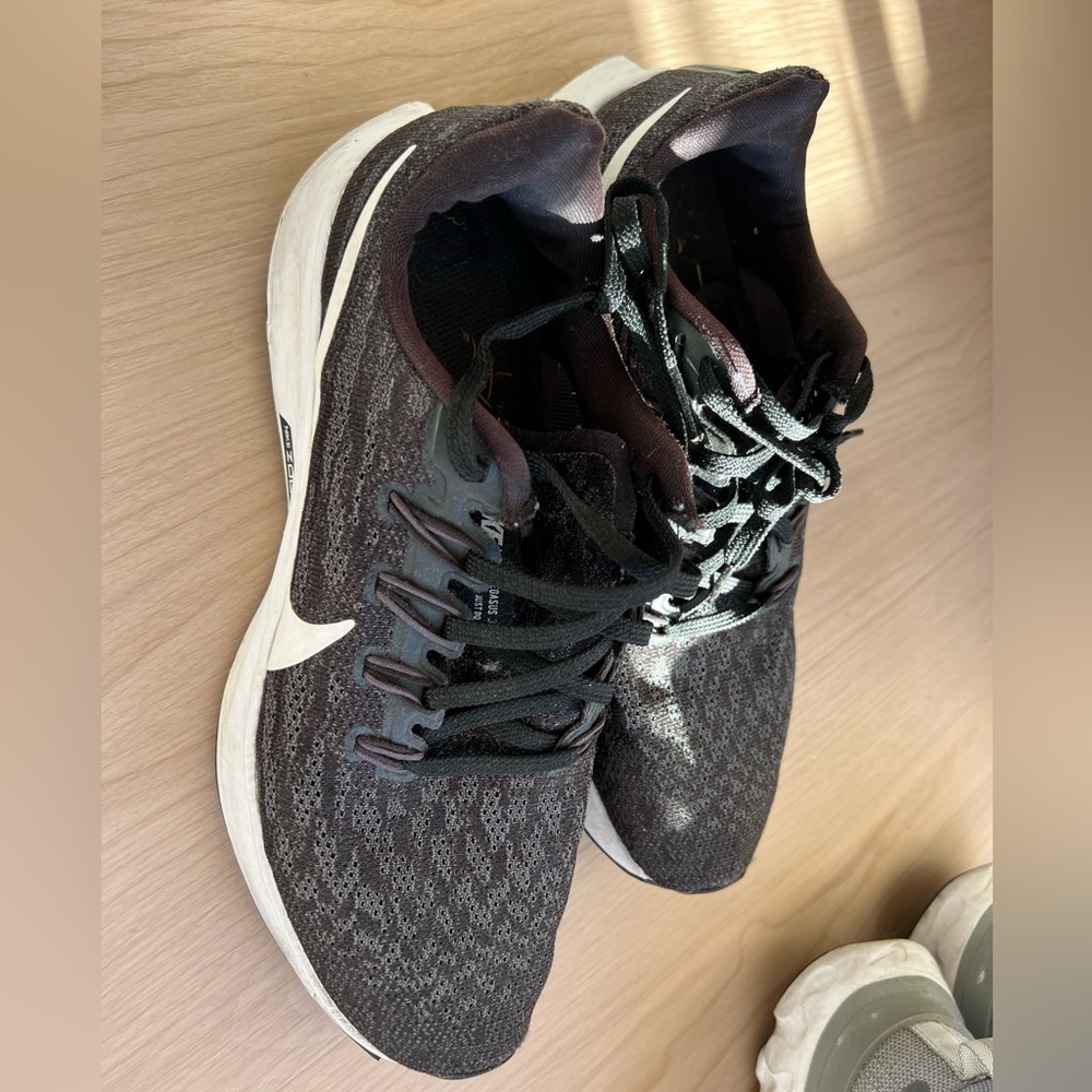 Nike zoom Pegasus